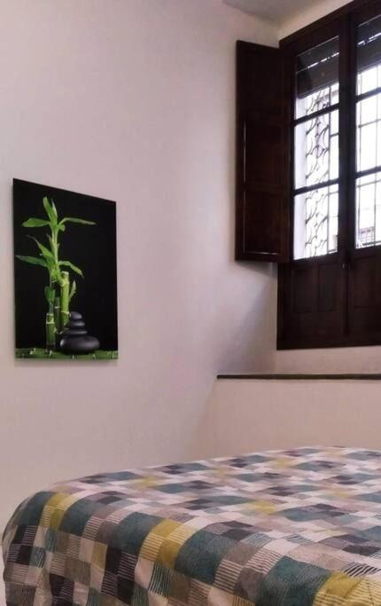 Disfruta De La Historica Cordoba Appartement Buitenkant foto
